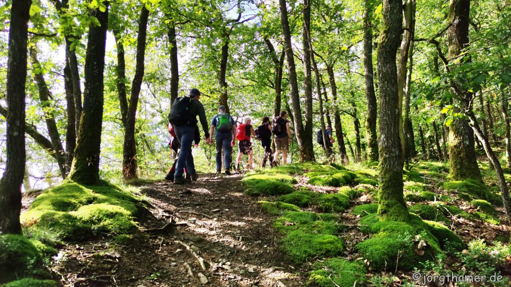 Eifelpfad Etappe 12 Wandern auf dem Eifelpfad - Etappe 12