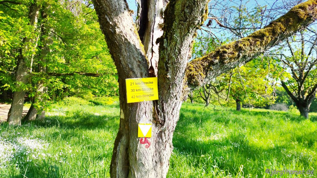 Wandermarathon Donnersberg