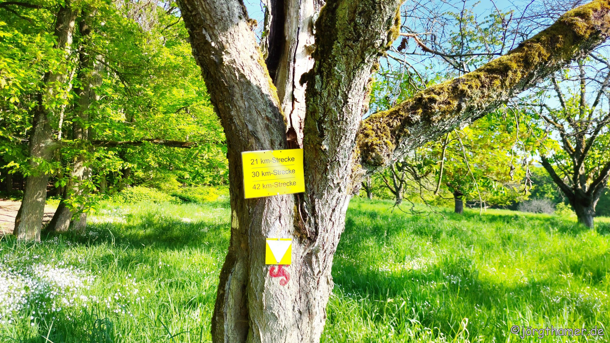Neustart! Endlich wieder Wandermarathon am Donnersberg
