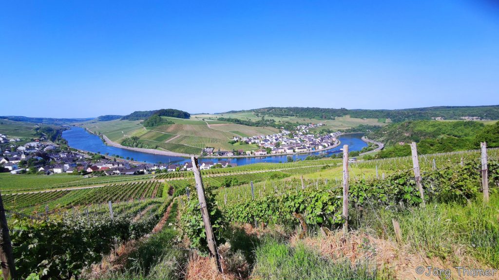 Moselsteig - Blick auf den Moselbogen bei Nittel