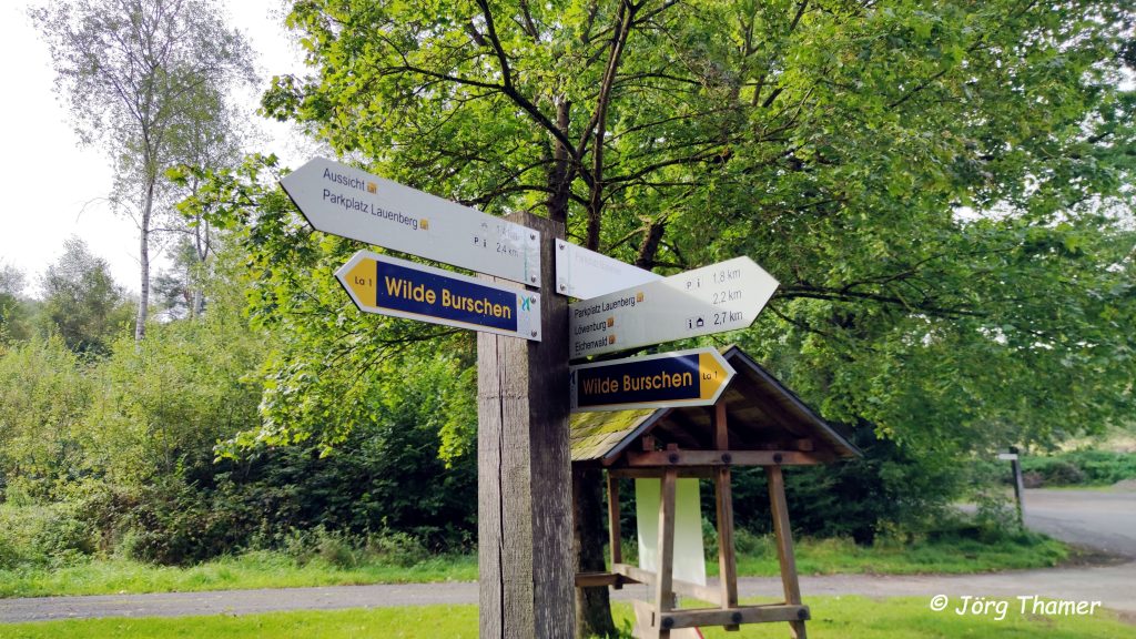 Die "Wilden Burschen" - unsere erste Wanderung in der Solling-Vogler-Region