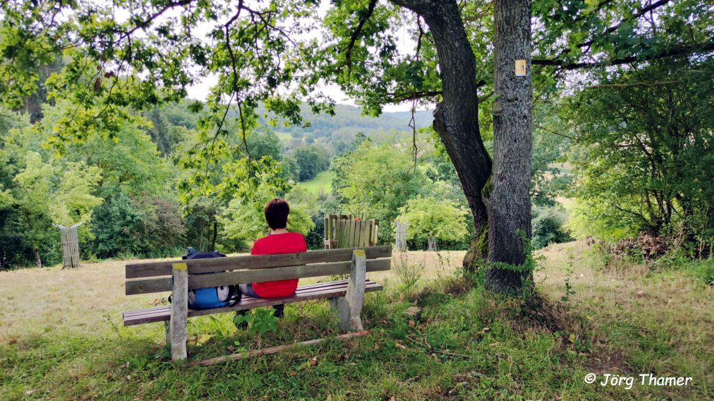 Blick in die Natur