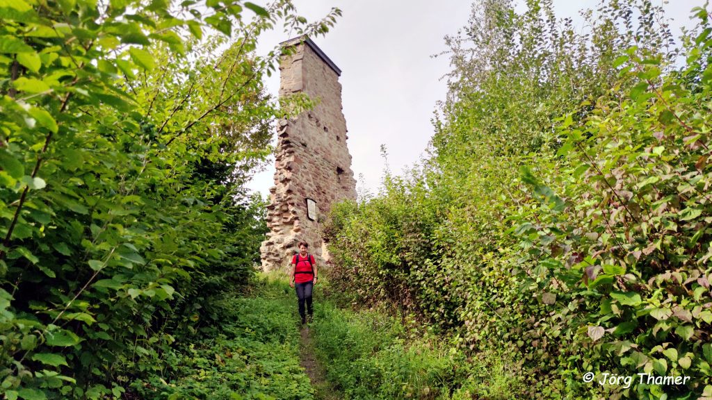 Beseelt zurück nach Lauenberg