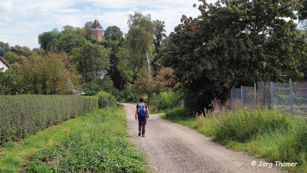 Der Försterturm ist das Wahrzeichen von Stadtoldendorf