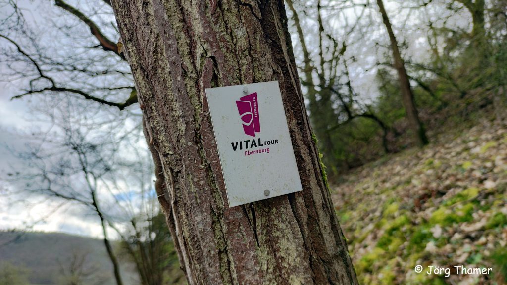 Vitaltour Ebernburg - Wegelogo