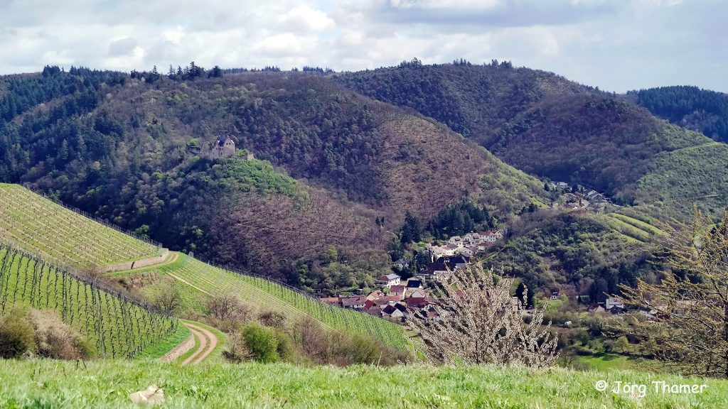 Blick auf Altenbamberg und die Altenbaumburg