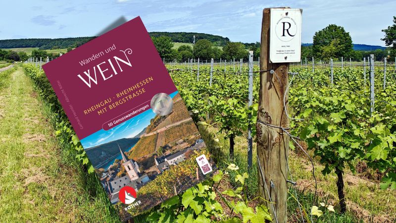 Wandern und Wein Buchcover vor Reben