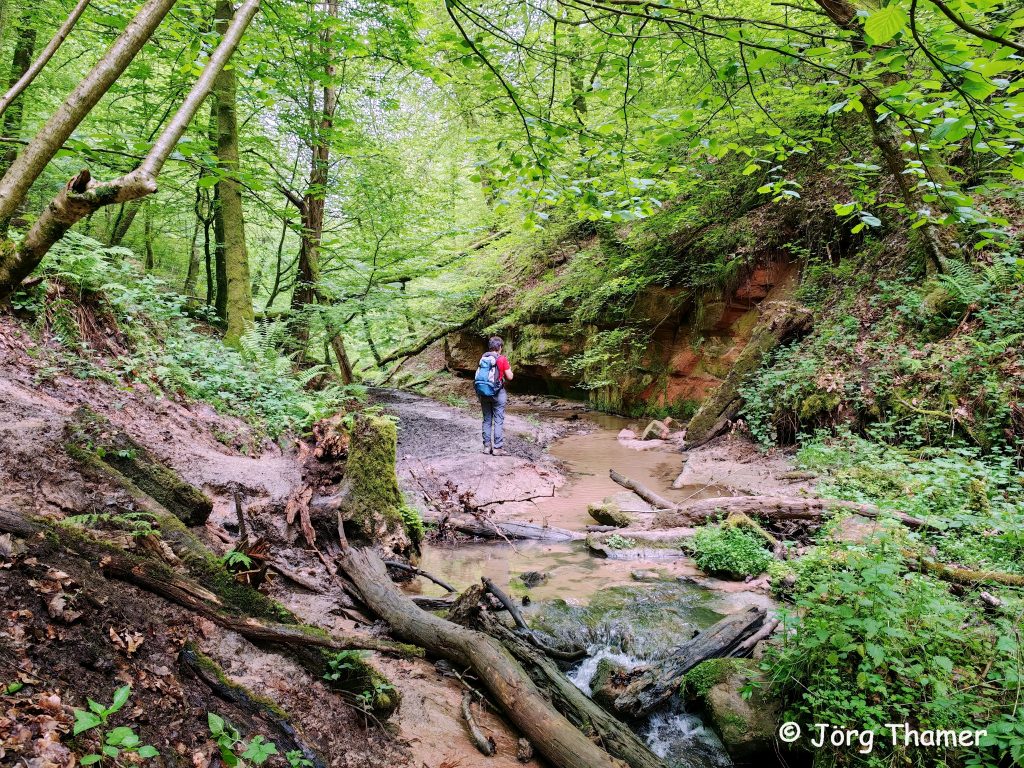 Wanderung zum Sirzenicher Wasserfall