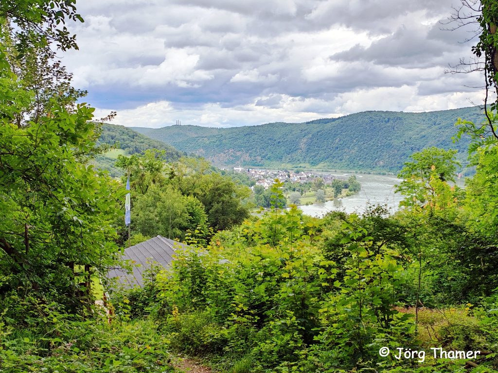 Blick über die Florianshütte auf den Rhein