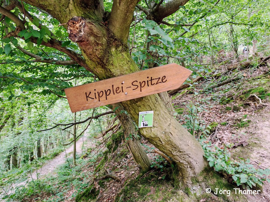 Markierung Langhalsweg und Kipplei-Spitze