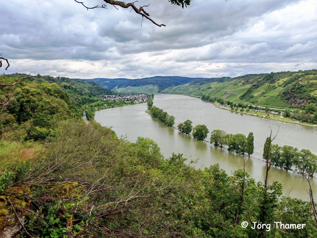Rheinblick von der Kipplei