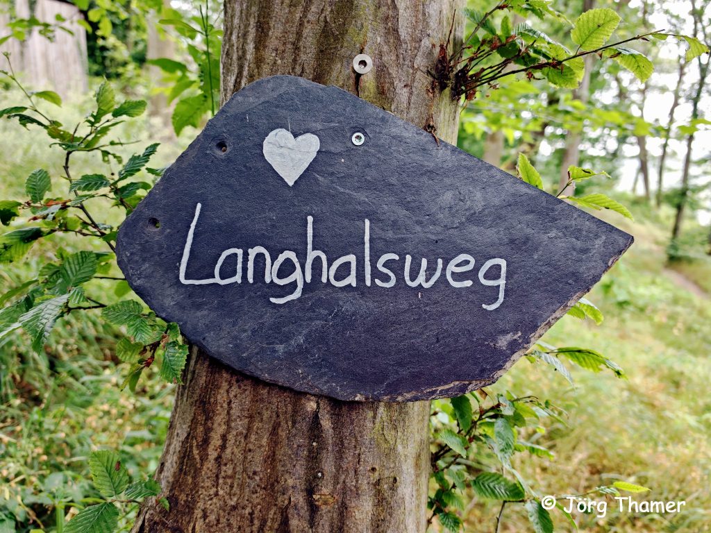 Unterwegs auf dem Osterspaier Langhalsweg (Deutschlands schönster Wanderweg 2024)
