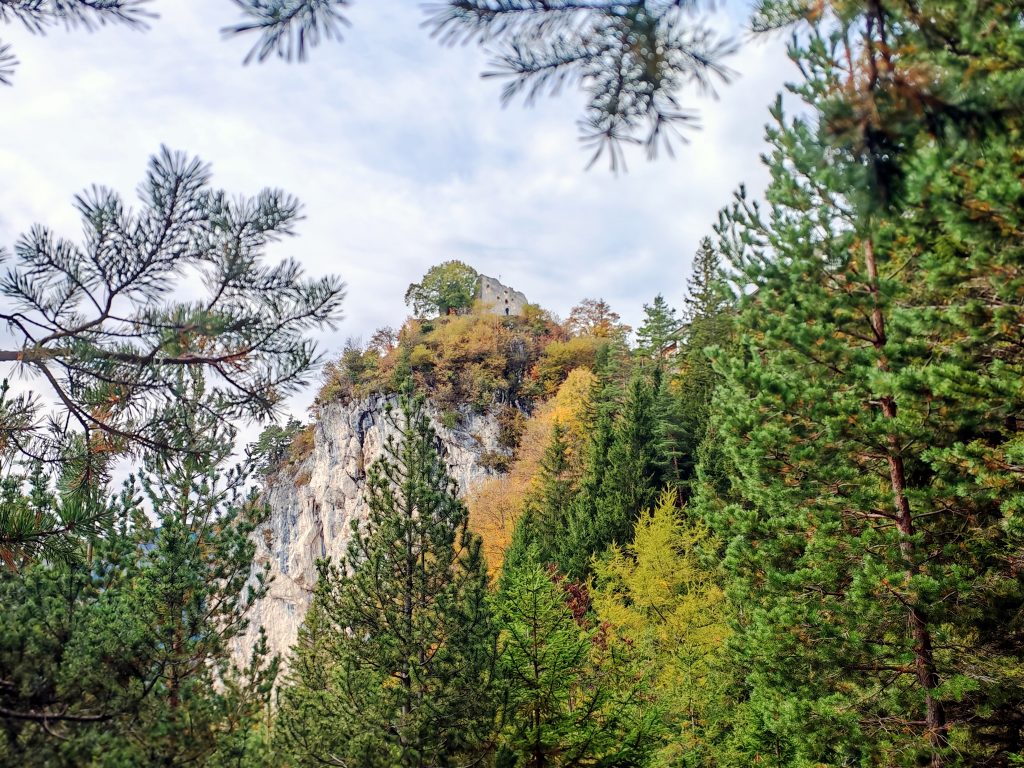 Burgruine Falkenstein