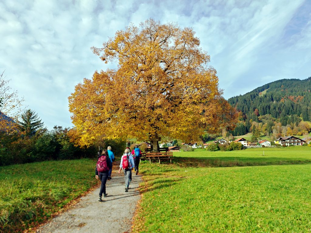 Bei Pfronten
