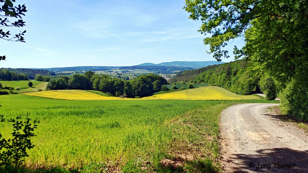 Weg von der Hermannsruh hinunter nach Stralsbach