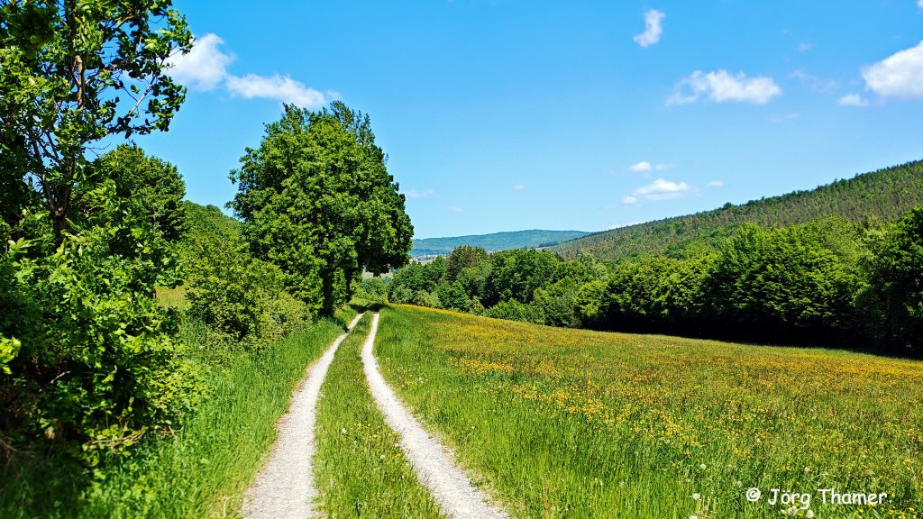 Hochrhöner von Stralsbach nach Frauenroth