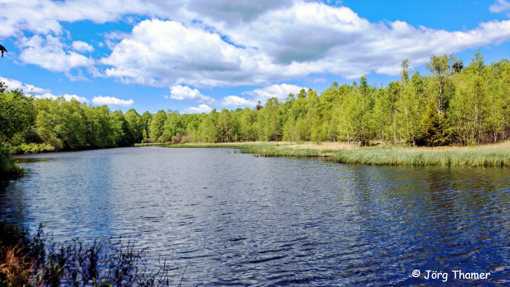Moorsee Rotes Moor