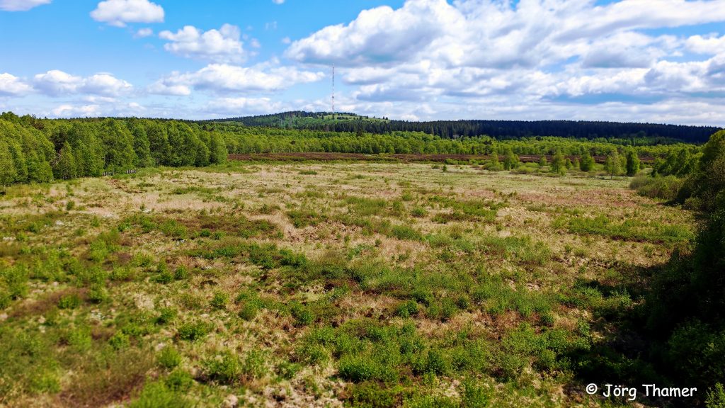Blick aufs Rote Moor