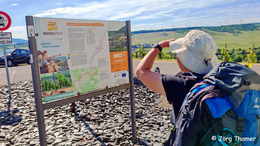 Infotafel Moselsteig