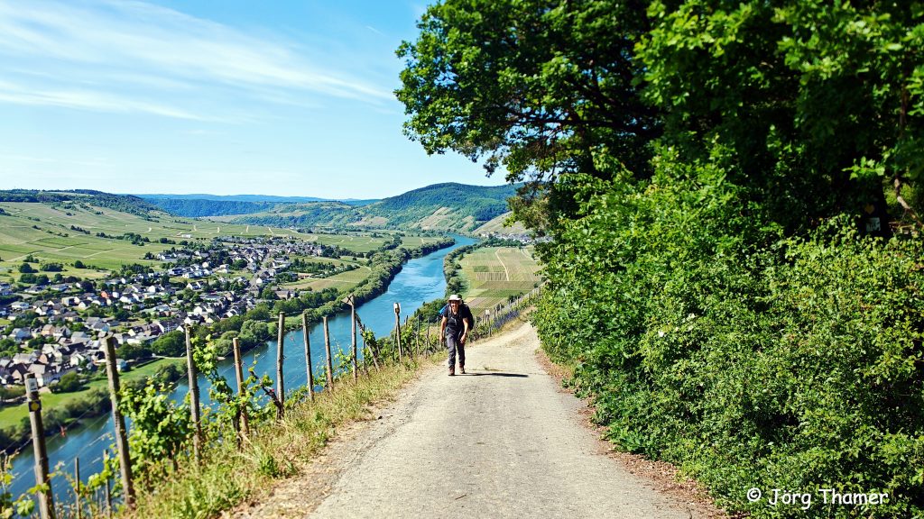 Moselsteig Wanderer läuft den Berg hinauf
