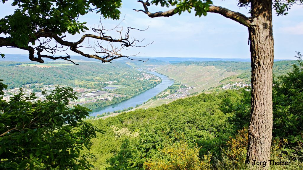 Moselsteig schöne Aussicht
