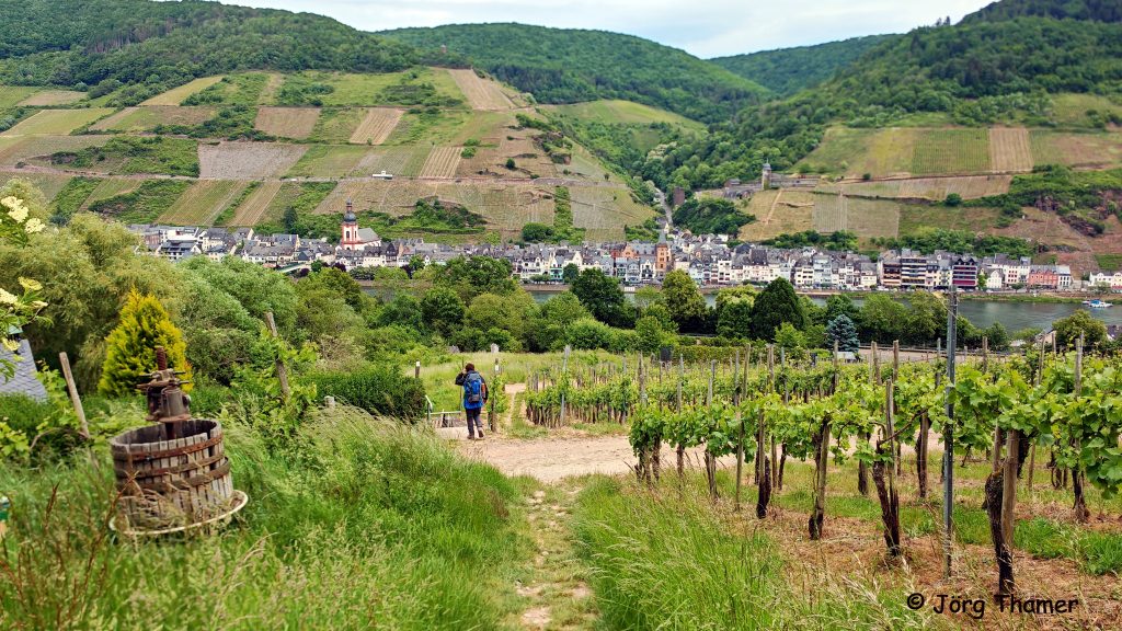 Moselsteig bei Zell
