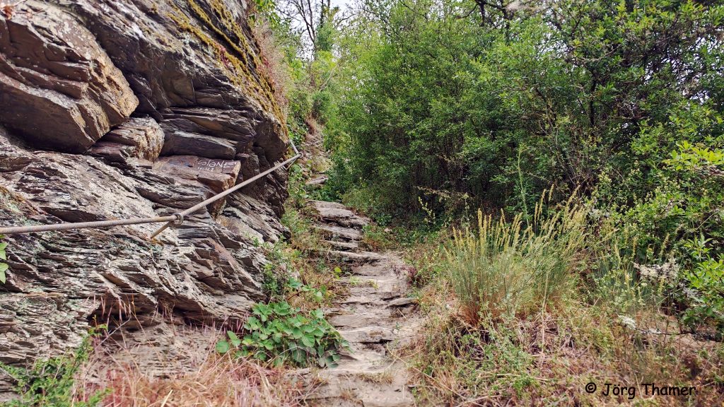 Collis-Steilpfad am Moselsteig