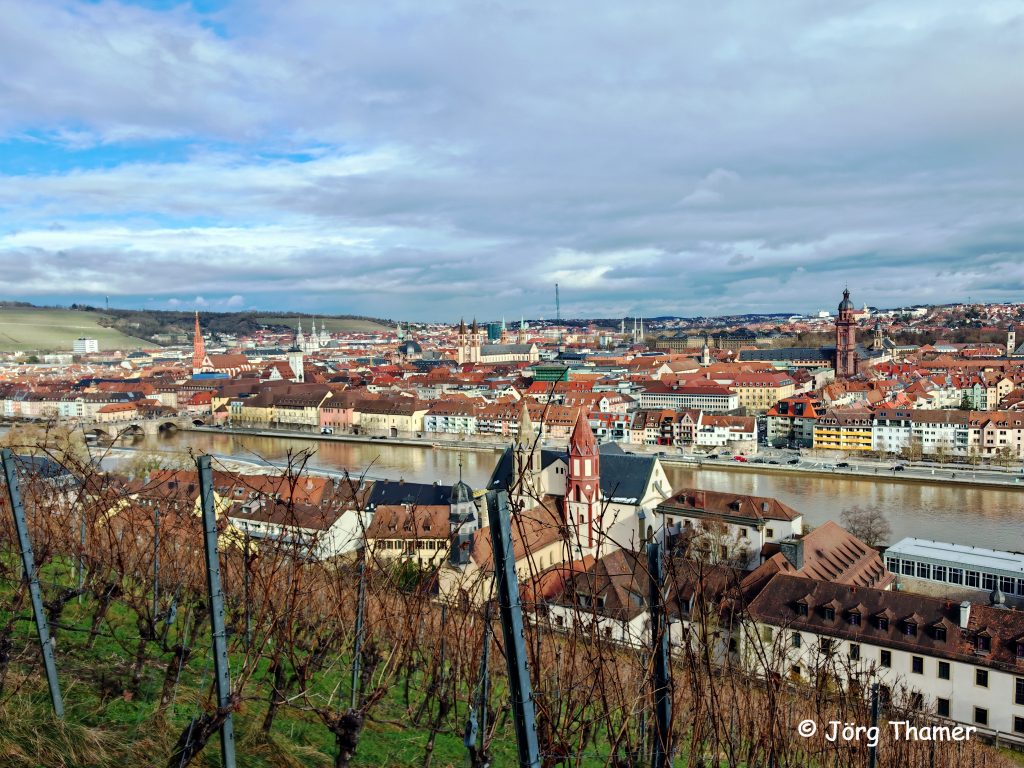 Weinberge an der Festung Marienberg - Blick auf Ulm