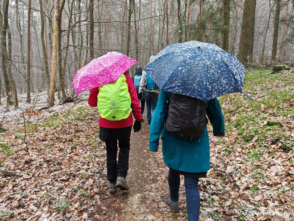 Wanderer mit Schirm