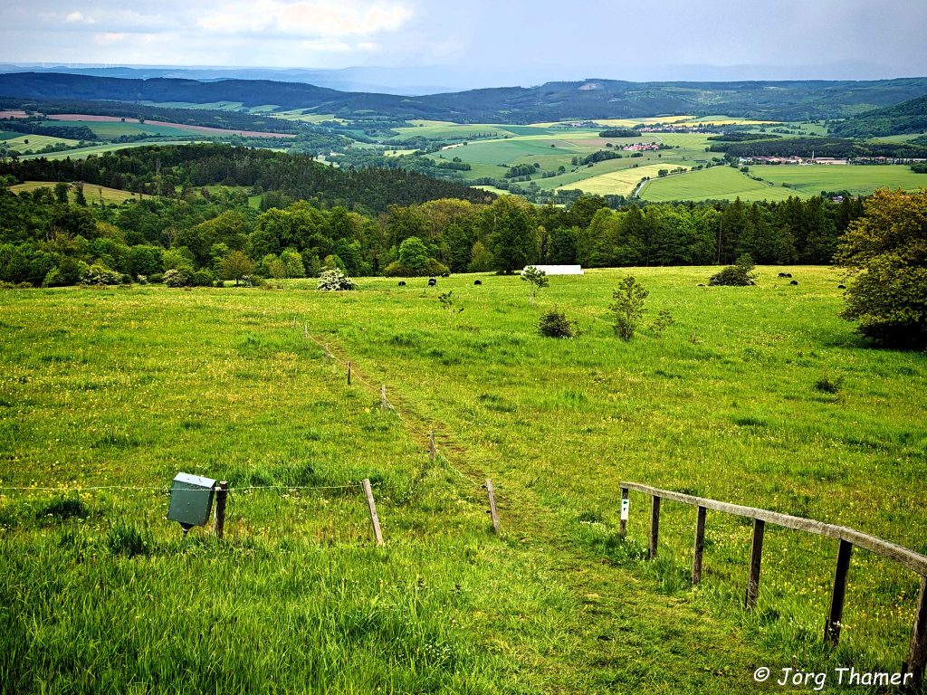 Hochrhöner bei Dermbach