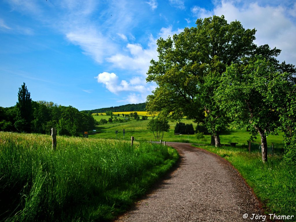 Hochrhöner Premiumwanderweg