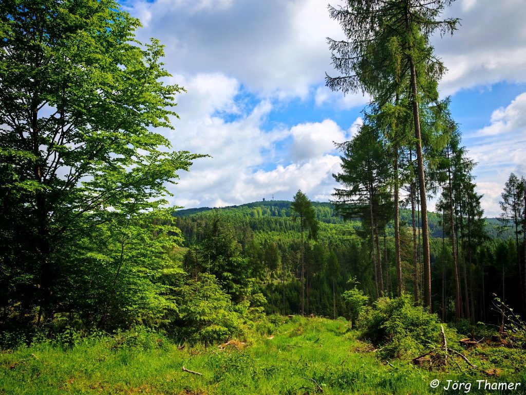 Blick hinauf zum Pleß