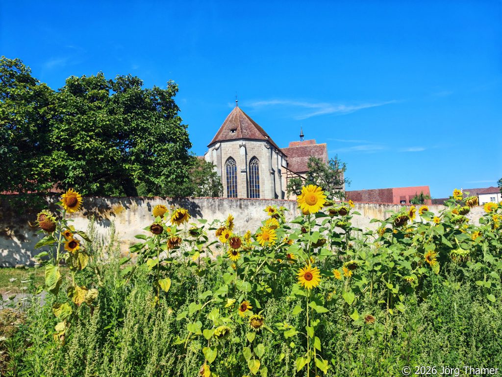 Blick auf das Kloster Reichenau